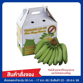 ชุดมั่งคั่งร่ำรวย กล้วยมงคล - No Brands