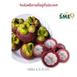 มังคุดคละไซซ์ สวนทวีทรัพย์ จ.ชุมพร - สวนทวีทรัพย์ จ.ชุมพร, ผักและผลไม้