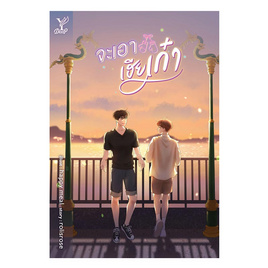 หนังสือ จะเอาเฮียเก๋า - สถาพรบุ๊คส์, นวนิยาย