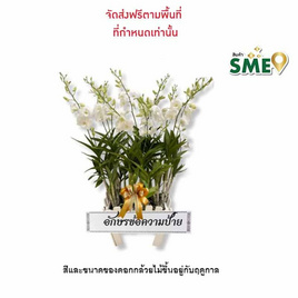 กล้วยไม้หวายจัดรางไม้ขาว พร้อมป้ายระบุข้อความ - AIR ORCHIDS, ของชำร่วย