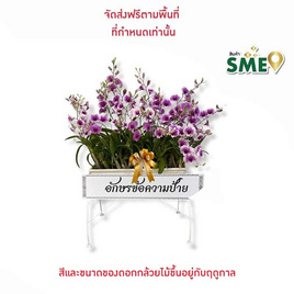 กล้วยไม้หวายญาญ่าจัดรางพลาสติกขาว พร้อมป้ายระบุข้อความ - AIR ORCHIDS, ของชำร่วย