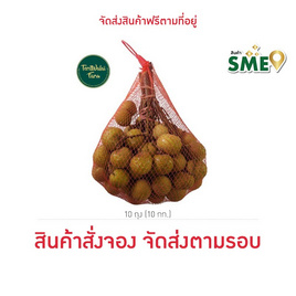 เทอดวลัยฟาร์ม ลำไยอีดอถุงตาข่าย - เทอดวลัยฟาร์ม, ผักและผลไม้