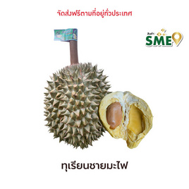 ทุเรียนชายมะไฟ สวนลุงเบิ้ม จ.นครนายก - สวนลุงเบิ้ม, อาหารสด ผัก ผลไม้และเบเกอรี่