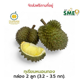 ทุเรียนหมอนทอง จ.จันทบุรี ทุเรียนมหานคร - ทุเรียนมหานคร, ผักและผลไม้
