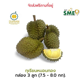 ทุเรียนหมอนทอง จ.จันทบุรี ทุเรียนมหานคร - ทุเรียนมหานคร, ผักและผลไม้