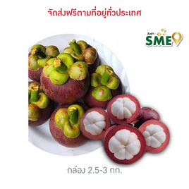 สละพันธุ์สุมาลี สวนทวีทรัพย์ จ.ชุมพร - สวนทวีทรัพย์ จ.ชุมพร, อาหารสด ผัก ผลไม้และเบเกอรี่