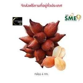 สละพันธุ์สุมาลี นิวเจนเกษตร จ.ชุมพร - นิวเจนเกษตร, ผักและผลไม้
