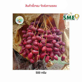 อินทผลัมโคแนนซี่ ร้อยเอ็ดแลนด์ จ.ร้อยเอ็ด - ร้อยเอ็ดแลนด์, ผักและผลไม้