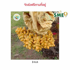 อินทผลัมฟูเดลี่ ร้อยเอ็ดแลนด์ จ.ร้อยเอ็ด - ร้อยเอ็ดแลนด์, อาหารสด ผัก ผลไม้และเบเกอรี่