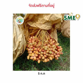 อินทผลัมเบรม ร้อยเอ็ดแลนด์ จ.ร้อยเอ็ด - ร้อยเอ็ดแลนด์, อาหารสด ผัก ผลไม้และเบเกอรี่