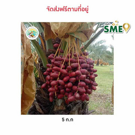อินทผลัมบาฮีแดง ร้อยเอ็ดแลนด์ จ.ร้อยเอ็ด - ร้อยเอ็ดแลนด์, อาหารสด ผัก ผลไม้และเบเกอรี่