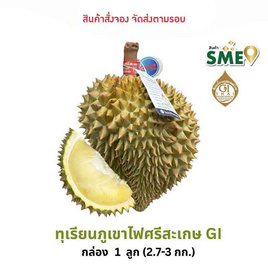 ทุเรียนภูเขาไฟศรีสะเกษหมอนทอง ดีจริง ศรีสะเกษ - ดีจริง ศรีสะเกษ, ผลไม้สด