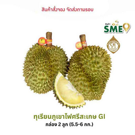 ทุเรียนภูเขาไฟศรีสะเกษหมอนทอง ดีจริง ศรีสะเกษ - ดีจริง ศรีสะเกษ, อาหารสด ผัก ผลไม้และเบเกอรี่