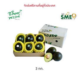 ไร่ชรินทร์พรรณ อะโวคาโด พันธุ์พื้นเมือง - ไร่ชรินทร์พรรณ, ผลไม้สด