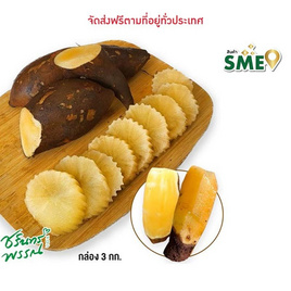 ไร่ชรินทร์พรรณ บัวหิมะ - ไร่ชรินทร์พรรณ, ผลไม้สด