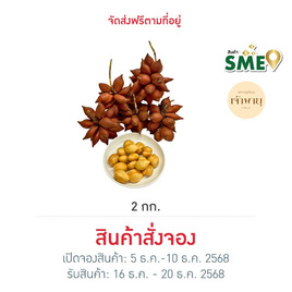 สวนเจ้าพายุ สละพันธุ์สุมาลี - สวนเจ้าพายุ