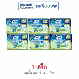 โซฟี คูลลิ่งเฟรชไนท์เนเชอรัล0.1 29ซม. (ห่อละ 5 ชิ้น) - Sofy, ผ้าอนามัยแบบกลางคืน