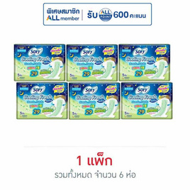 โซฟี คูลลิ่งเฟรชไนท์เนเชอรัล0.1 29ซม. (ห่อละ 5 ชิ้น) - Sofy, ลดอย่างแรง 7 วัน ราคาพิเศษ