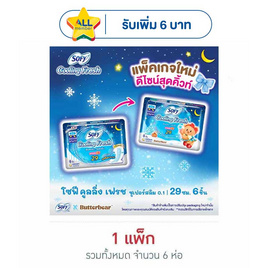 โซฟี คูลลิ่งเฟรชไนท์ซูเปอร์สลิม0.1 แบบมีปีก 29ซม. (ห่อละ 6 ชิ้น) - Sofy, ผ้าอนามัยแบบกลางคืน