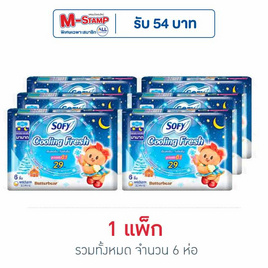 โซฟี คูลลิ่งเฟรชไนท์ซูเปอร์สลิม0.1 แบบมีปีก 29ซม. (ห่อละ 6 ชิ้น) - Sofy, ผ้าอนามัยแบบกลางคืน