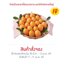 มะยงชิดพันธุ์ทูลเกล้า 1000 กรัม - No Brands, ผักและผลไม้