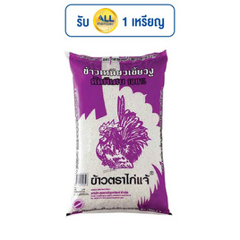 ไก่แจ้ ข้าวเหนียวเขี้ยวงูคัดพิเศษ 100% 1 กิโลกรัม - ข้าวไก่แจ้, ข้าวเหนียว