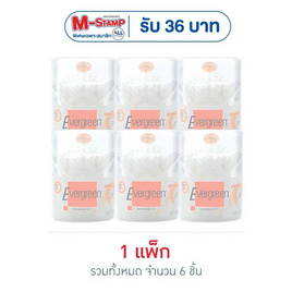 ก้านสำลีเอเวอร์กรีน กระปุก100 ก้าน 1แพ็ก (6ชิ้น) - Evergreen, ของใช้เบ็ดเตล็ดอื่นๆ