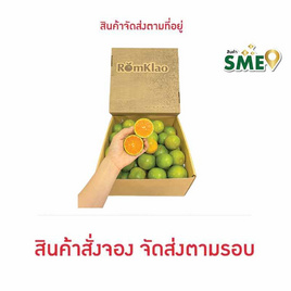 สวนร่มเกล้า ส้มสายน้ำผึ้ง (เบอร์ 105) 5 กิโลกรัม - สวนร่มเกล้า, สวนร่มเกล้า