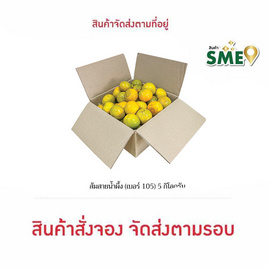 สวนร่มเกล้า ส้มสายน้ำผึ้ง (เบอร์ 105) 5 กิโลกรัม - สวนร่มเกล้า, ผลไม้สด