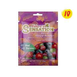 [10.10] เนเจอร์เซ็นเซชั่น เบอร์รี่อบแห้ง 30 กรัม (แพ็ก 6 ชิ้น) - เนเจอร์เซ็นเซชั่น, ผลไม้อบแห้ง