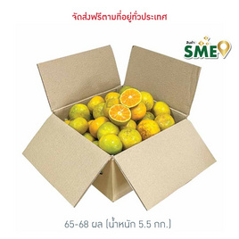 สวนร่มเกล้า ส้มสายน้ำผึ้ง จ. ตาก เบอร์ 120 (ส้มคั้นน้ำ) 5.5 กก. (65-68 ผล) - สวนร่มเกล้า, อาหารสด ผัก ผลไม้และเบเกอรี่