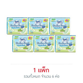 โซฟี แผ่นอนามัยคูลลิ่งเฟรชเนเชอรัลแบบมาตรฐาน (ห่อละ 12 ชิ้น) - Sofy, ผ้าอนามัยและแผ่นอนามัย Sofy รุ่นคูลลิ่ง ราคาพิเศษ