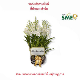 กล้วยไม้หวายจัดกระเช้า 12 นิ้ว พร้อมป้ายระบุข้อความ - AIR ORCHIDS, สินค้าของชำร่วยและของใช้งานพิธี