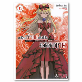 หนังสือ อาชีพกระจอกแล้วทำไมยังไงข้าก็เทพ เล่ม 13 (LN) (เล่มจบ) - อมรินทร์, หนังสือ