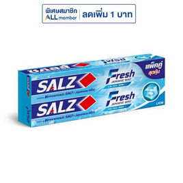ซอลส์ ยาสีฟันเฟรช 140 กรัม (แพ็กคู่) - SALZ, ผลิตภัณฑ์ดูแลช่องปากและฟัน