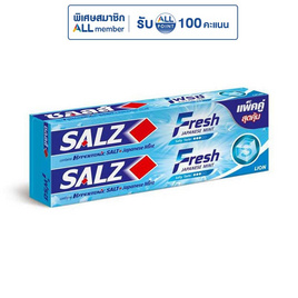 ซอลส์ ยาสีฟันเฟรช 140 กรัม (แพ็กคู่) - SALZ, ผลิตภัณฑ์ดูแลช่องปากและฟัน