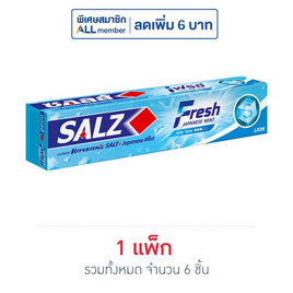 ซอลส์ ยาสีฟัน เฟรซ แจเปนนิส มินต์ 140 กรัม (แพ็ก 6 ชิ้น) - SALZ, ผลิตภัณฑ์ดูแลช่องปากและฟัน