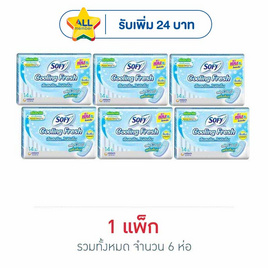 โซฟี แผ่นอนามัยคูลลิ่งเฟรชแบบมาตรฐาน (ห่อละ 14 ชิ้น) - Sofy, ผ้าอนามัยแบบกลางวัน