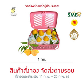 สวนศรีทอง มะปรางหวาน จ.นครนายก (14-21 ลูก/กก.) 1 กิโลกรัม - สวนศรีทอง, สวนศรีทอง