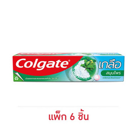 คอลเกต ยาสีฟัน เกลือสมุนไพร 150 กรัม (แพ็ก 6 ชิ้น) - Colgate, ยาสีฟัน