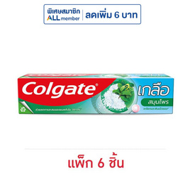 คอลเกต ยาสีฟัน เกลือสมุนไพร 150 กรัม (แพ็ก 6 ชิ้น) - Colgate, ผลิตภัณฑ์ดูแลช่องปากและฟัน