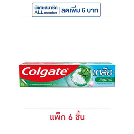 คอลเกต ยาสีฟัน เกลือสมุนไพร 150 กรัม (แพ็ก 6 ชิ้น) - Colgate, ลดอย่างแรง Colgate สูตรอันดับ 1 ลดอย่างแรงสูงสุด