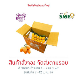 มะยงชิดพันธุ์อลังการ ไซซ์ใหญ่ (16-17 ลูก/กก.) กล่อง 3 กก. สวนพันธุ์อลังการ จ. แพร่ - สวนพันธุ์อลังการ