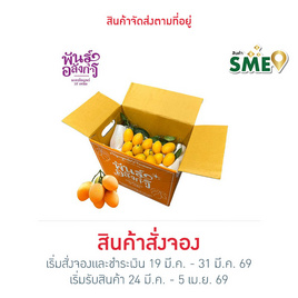 มะยงชิดพันธุ์อลังการ ไซซ์ใหญ่ (16-17 ลูก/กก.) กล่อง 3 กก. สวนพันธุ์อลังการ จ. แพร่ - สวนพันธุ์อลังการ, ผักและผลไม้