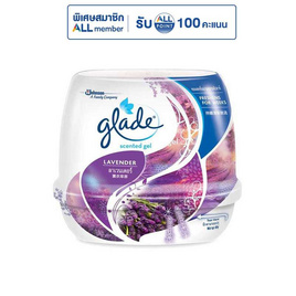 เกลดเซ็นท์เต็ดเจลลาเวนเดอร์ 180 กรัม - Glade, Privia Newyork