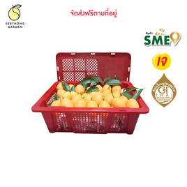 สวนศรีทอง มะยงชิดพันธุ์ทูลเกล้า จ. นครนายก (18-24 ลูก/กก.) 2 กิโลกรัม - สวนศรีทอง, ผลไม้สด