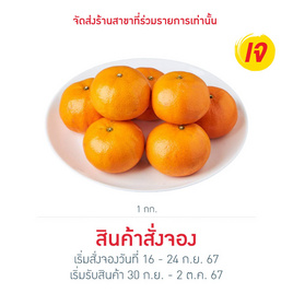 ส้มแมนดาริน 1 กก. - No Brands, 7Online