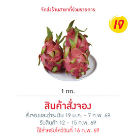 ชุดมั่งคั่ง แก้วมังกรมงคล 1 กก. - No Brands, ผลไม้ตามเทศกาล