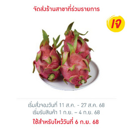 ชุดมั่งคั่ง แก้วมังกรมงคล 1 กก. - No Brands, ผักและผลไม้