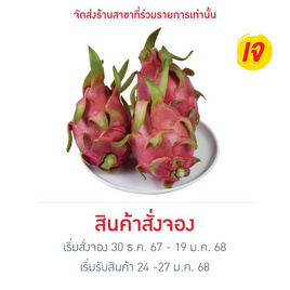 ชุดมั่งคั่ง แก้วมังกรมงคล 1 กก. - No Brands, ผลไม้มงคล